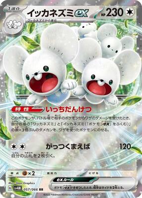Maushold ex - 057/066